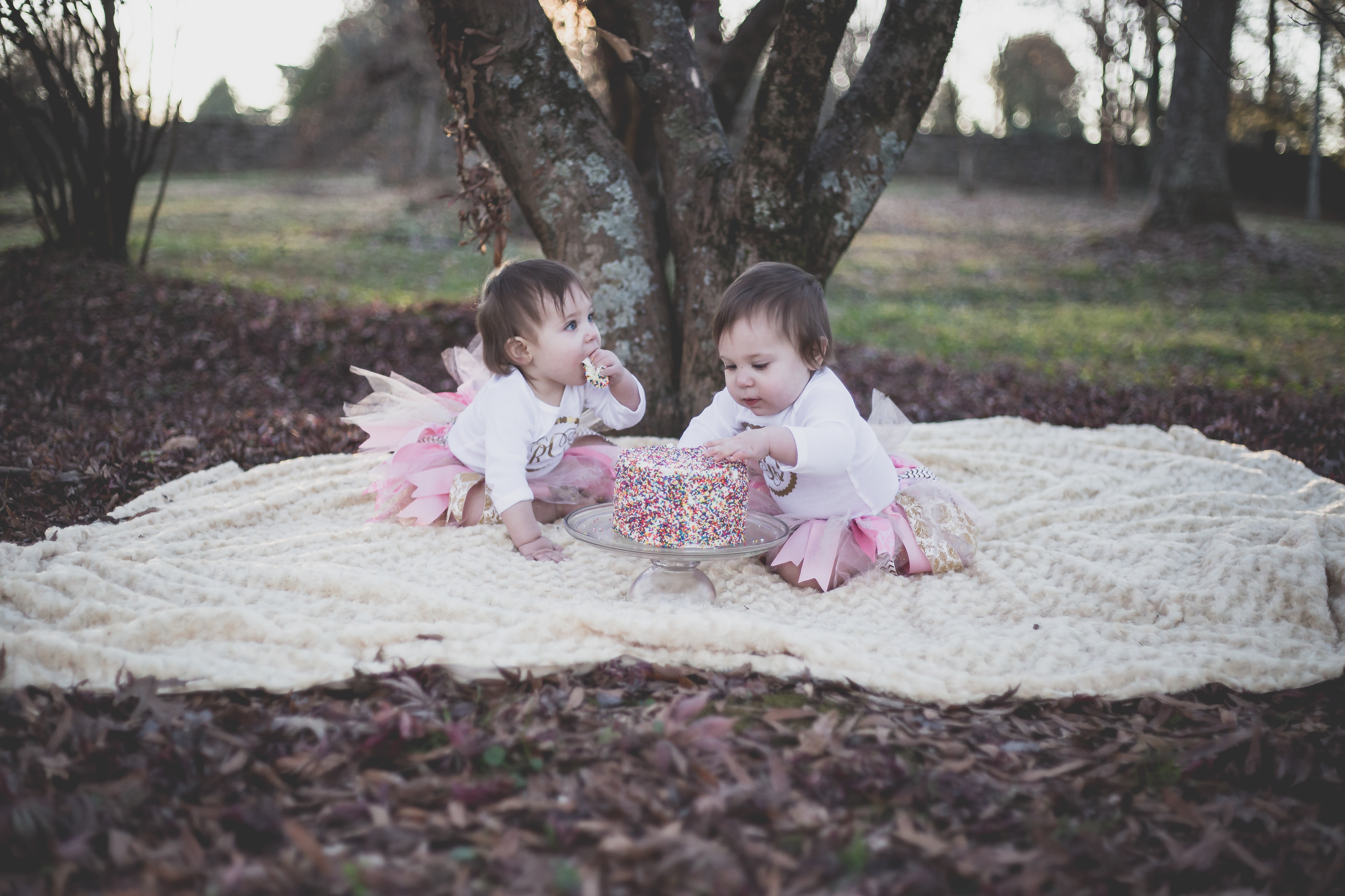 You are currently viewing Yeager Twins | One Year Old